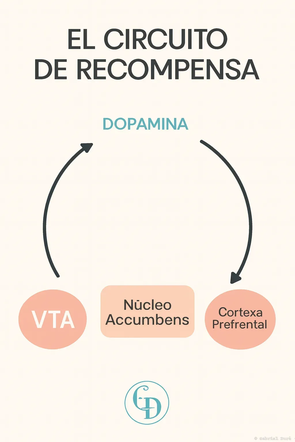 Definición