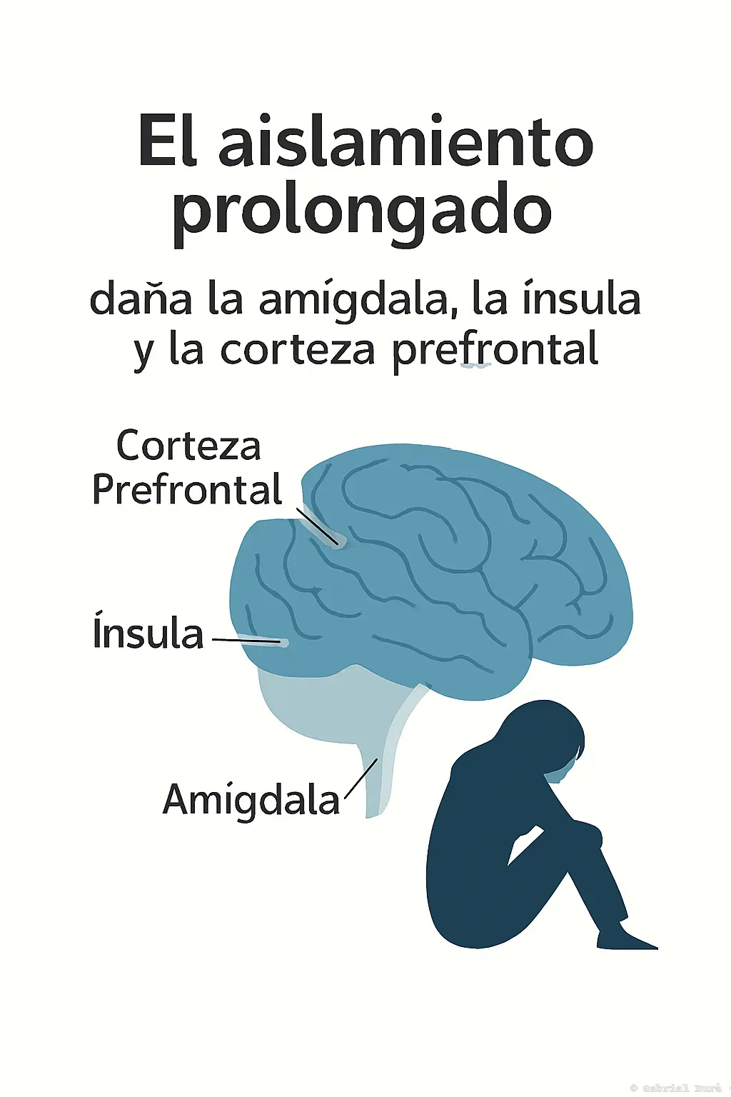 Cerebro
