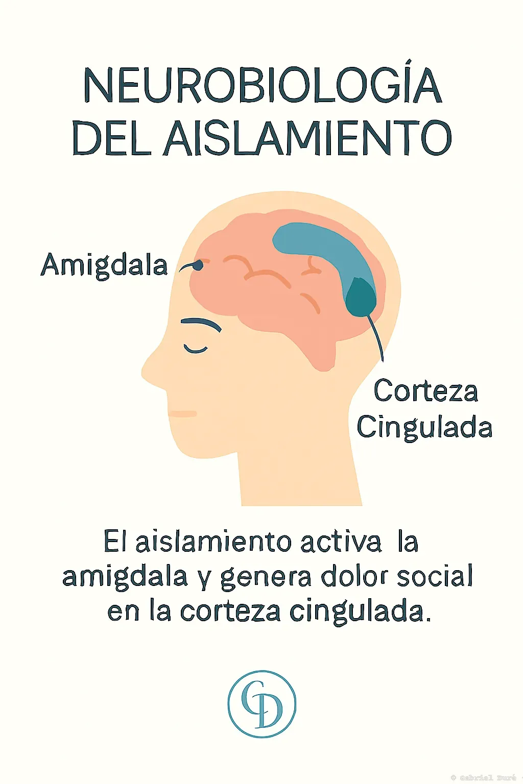 Solución